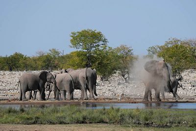 Etosha National Park, Nuamses Waterhole
