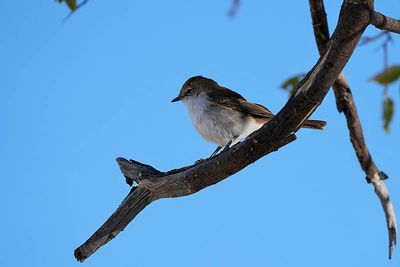Etosha National Park, Okaukuejo