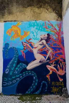 Josefa de Óbidos Street, Micaela Jarast 20230