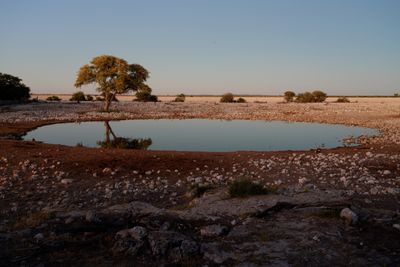 Etosha National Park, Okaukuejo Waterhole