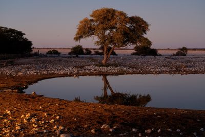 Etosha National Park, Okaukuejo Waterhole