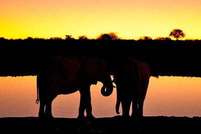 Etosha National Park, Okaukuejo Waterhole