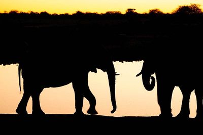 Etosha National Park, Okaukuejo Waterhole