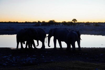 Etosha National Park, Okaukuejo Waterhole