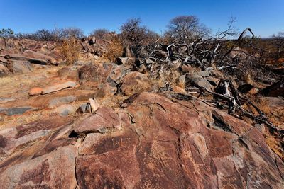 Kamanjab, Peet Albert Rock Engravings