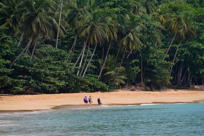 Príncipe Island, Grande Beach