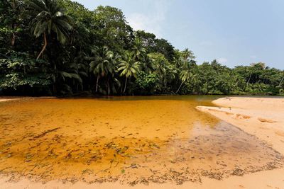 Príncipe Island, Grande Beach