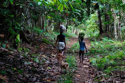 Príncipe Island, Trail to Grande Beach