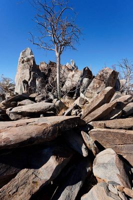 Kamanjab, Peet Albert Rock Engravings