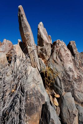 Kamanjab, Peet Albert Rock Engravings