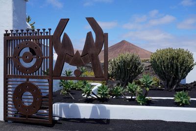 Tahiche, Fundacin Csar Manrique