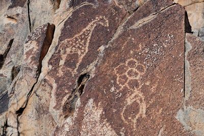 Kamanjab, Peet Albert Rock Engravings