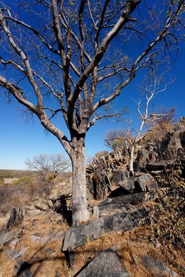 Kamanjab, Peet Albert Rock Engravings