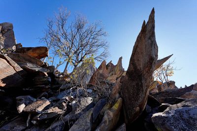 Kamanjab, Peet Albert Rock Engravings