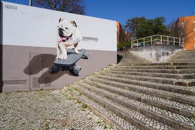 Bairro Padre Cruz, Ehme 2020