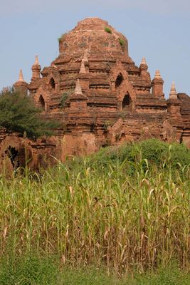 Bagan, Einyakyaungngmyethna