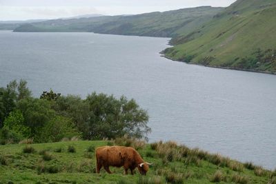 Isle of Skye, from Dunvegan to Fairy Pools