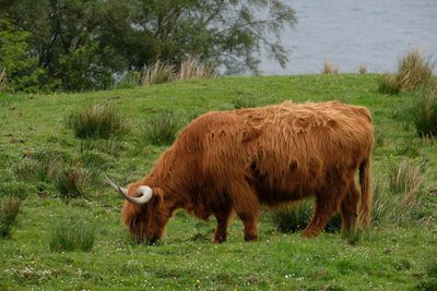 Isle of Skye, from Dunvegan to Fairy Pools