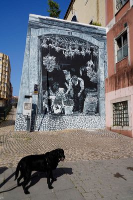Nova do Desterro Street, Mariana Duarte Santos 2021