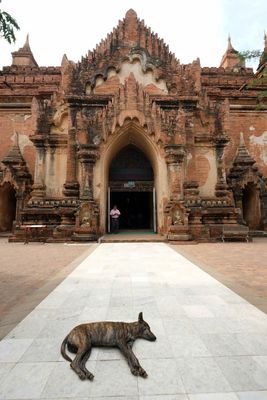 Bagan, Htilominio