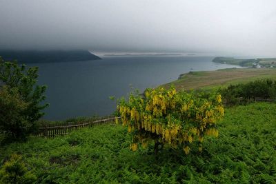 Isle of Skye, Loch Bay