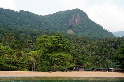 Príncipe Island, boat trip around the Island