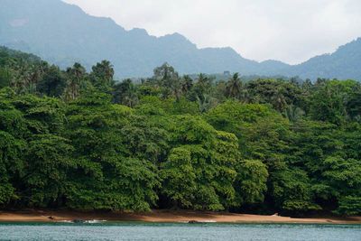Príncipe Island, boat trip around the Island