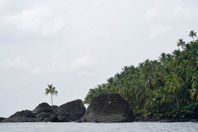 Príncipe Island, boat trip around the Island