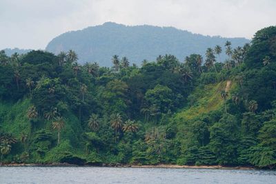 Príncipe Island, boat trip around the Island