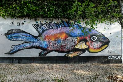 Academia das Ciências Street