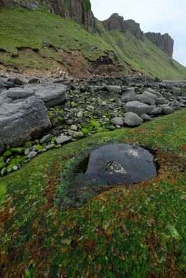 Isle of Skye, near Lealt Falls