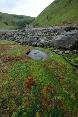 Isle of Skye, near Lealt Falls
