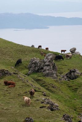 Scotland
