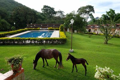 San Andrés, Hotel Albergue El Refugio