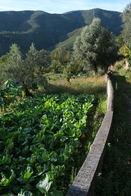 Fisgas de Ermelo Trail, Portugal