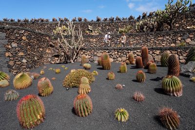 Lanzarote Island, Canarias, Spain