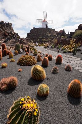 Lanzarote Island, Canarias, Spain