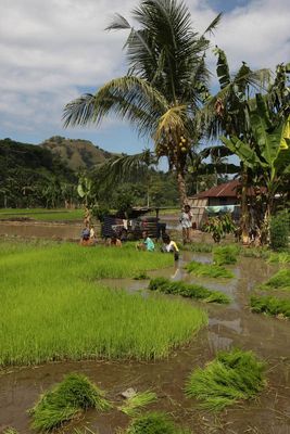 Flores Island, Indonesia