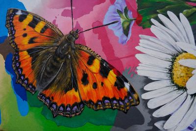 Urban Art in Lisbon