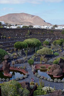Lanzarote Island, Canarias, Spain
