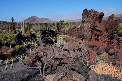 Lanzarote Island, Canarias, Spain