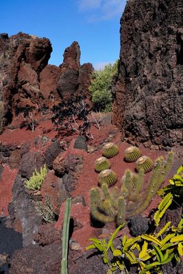Lanzarote Island, Canarias, Spain