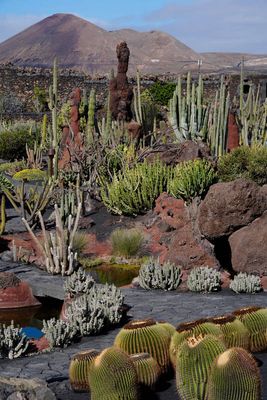 Lanzarote Island, Canarias, Spain
