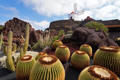 Lanzarote Island, Canarias, Spain