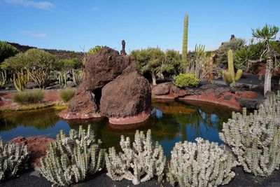 Lanzarote Island, Canarias, Spain