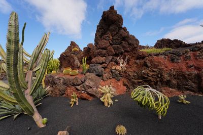 Lanzarote Island, Canarias, Spain