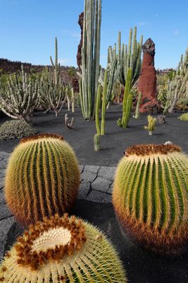 Lanzarote Island, Canarias, Spain