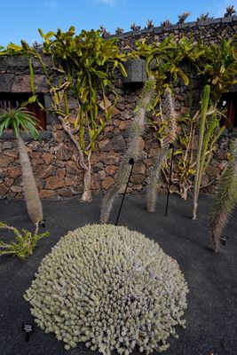 Lanzarote Island, Canarias, Spain