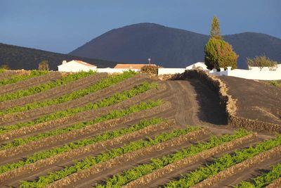 Lanzarote Island, Canarias, Spain