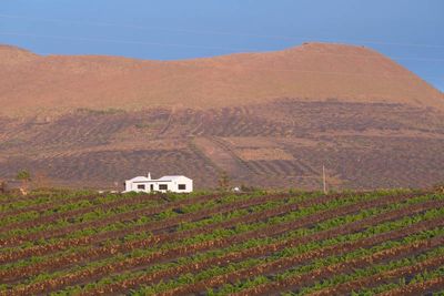Lanzarote Island, Canarias, Spain